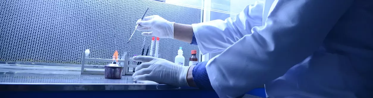 School of Life Science