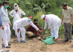 Herbal Garden of Ayurveda Faculty of Glocal University expanded