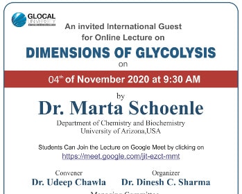 International Online Guest Lecture on 